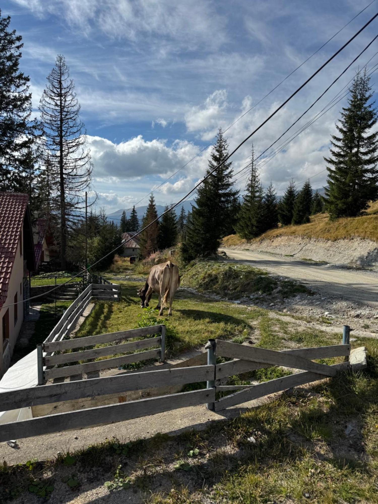 Casa Hai La Ranca Esterno foto